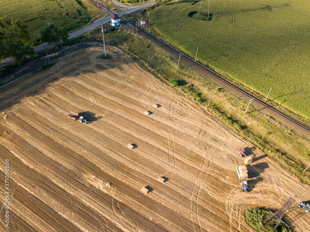 Obraz premium Aerial view. Harvesting wheat in the Ukrainian field.