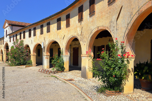 Badoere e rose rosse in Italia  Red roses in Badoere in Italy