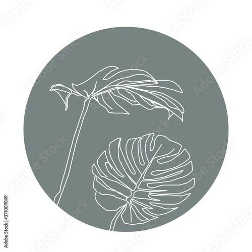 plants palma leaves white continious line illustration in dark dirty blue circle icon