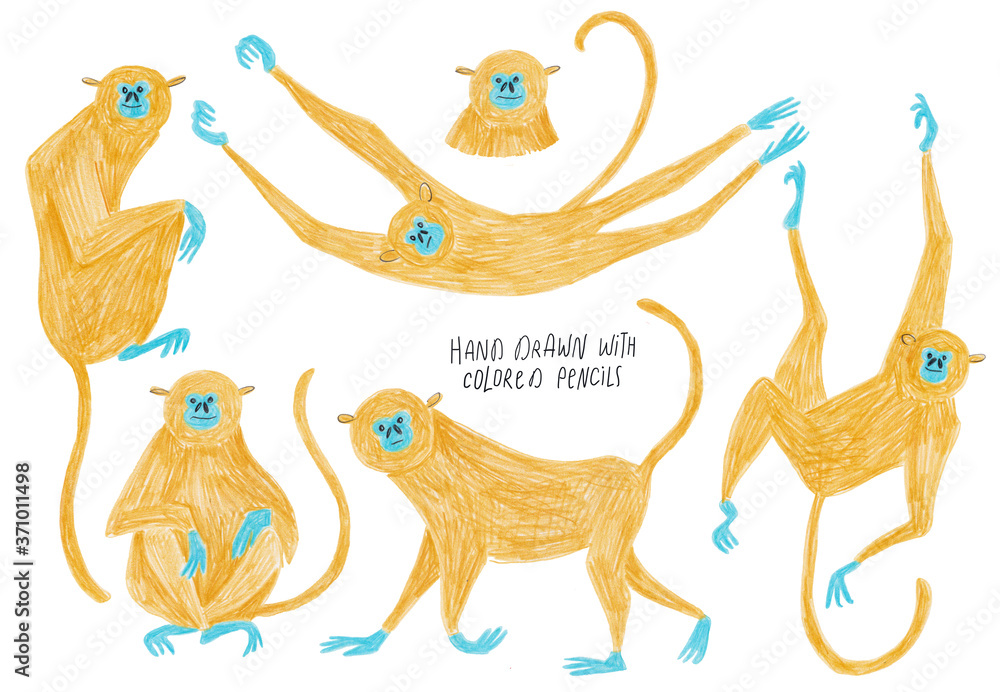 Set Of Isolated Monkey illustrations.