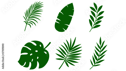 green leaf vector icon 
