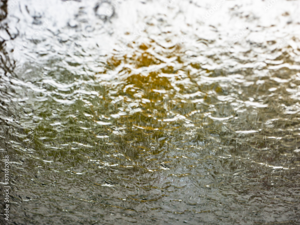 Autumn watery background