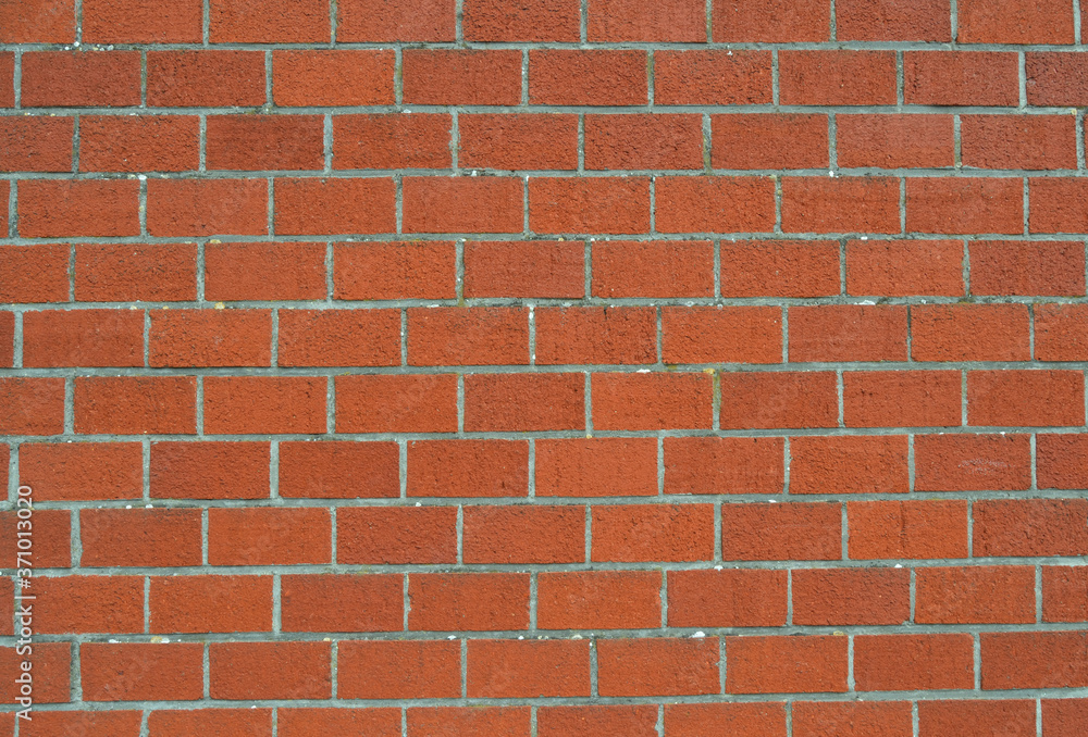 Fototapeta premium Mur de briques