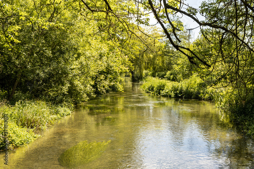 Chalk stream running through the Berkshire countryside. Rural trout stream.