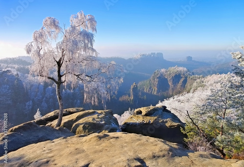 Elbsandsteingebirge im Winter Carolafelsen - Elbe sandstone mountains in winter, Carolarock