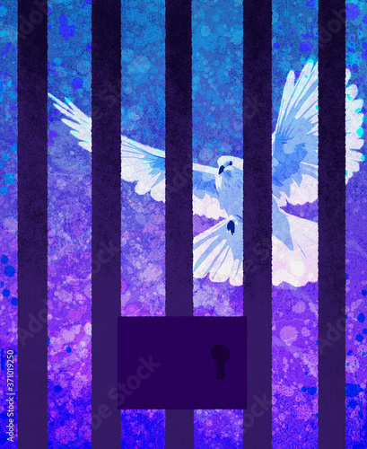 White dove behind prison bars photo