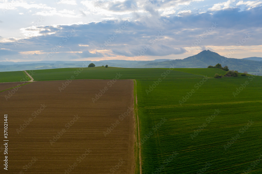 Dirt road splitting a green and a brown field. Aerial view of farmland, on a hill