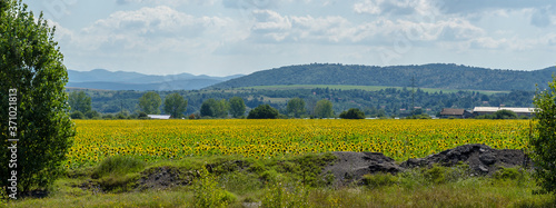 autumn landscape with mountains