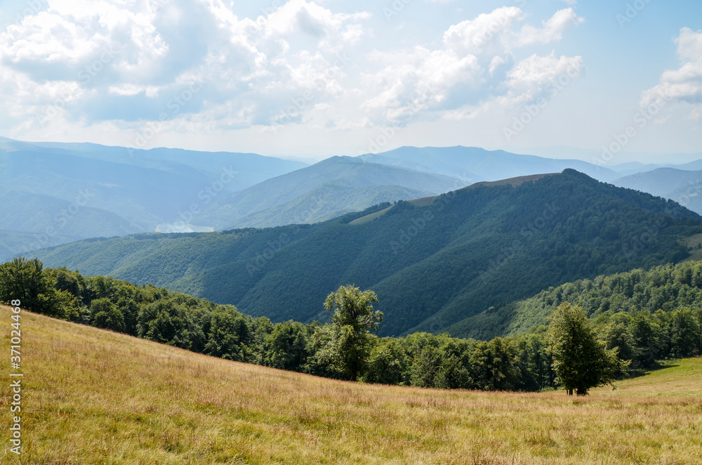 Scenic view of mountains near yellow meadow and green forest against blue sky with clouds. Carpathians. Ukraine