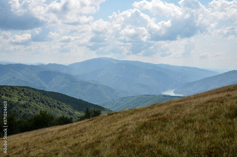 Scenic view of mountains near yellow meadow and green forest against blue sky with clouds. Carpathians. Ukraine Scenic view of mountains near yellow meadow and green forest against blue sky with clouds. Carpathians. Ukraine