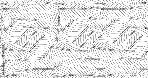 Fototapeta Naklejka Na Ścianę i Meble -  leaf line art background vector, wallpaper and print, house plant, Vector illustration.