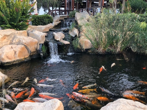japanese garden with waterfall