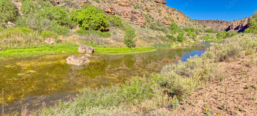 Upper Verde River Wildlife Area Wetland near Paulden AZ.