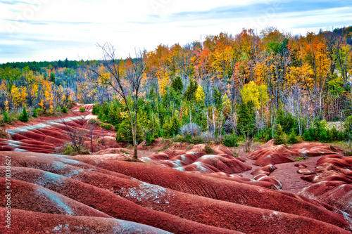 The spectacular landscape of the Cheltenham Badlands surrounded by a forest. It is a popular tourist attraction and travel destination