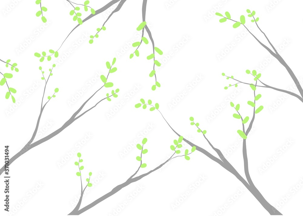 green tree branch green tree branch