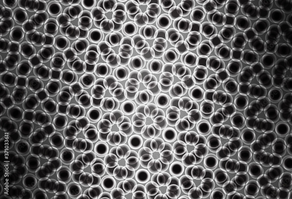 Light Gray vector backdrop with dots. Light Gray vector backdrop with dots.