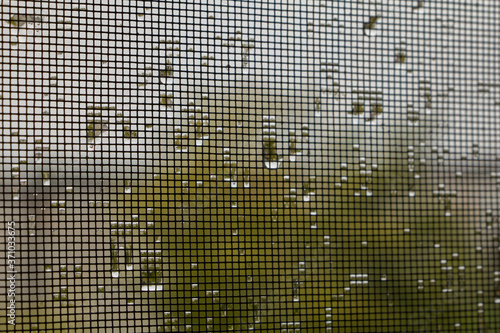 Many drops of water from the rain on the mesh surface