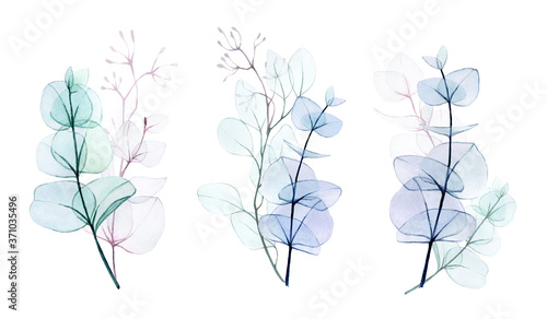 watercolor drawing  set of transparent bouquets of leaves and branches of eucalyptus isolated on white background. gentle drawing in pastel colors  design for a wedding  decoration of a greeting card