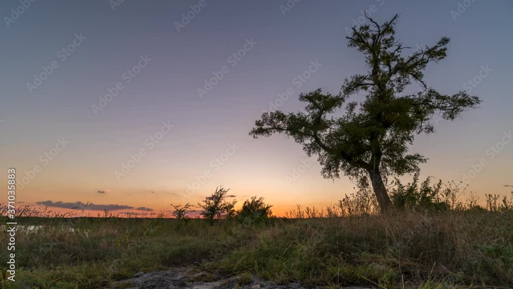 Time Lapse of Sunset Behind Large Oak Tree in Texas Next to Large Oak Time Lapse of Sunset Behind Large Oak Tree in Texas Next to Large Oak