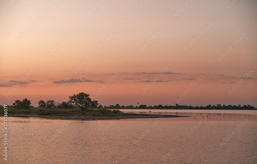 small island in the pond with a lonely tree during golden hour