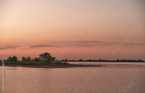 small island in the pond with a lonely tree during golden hour