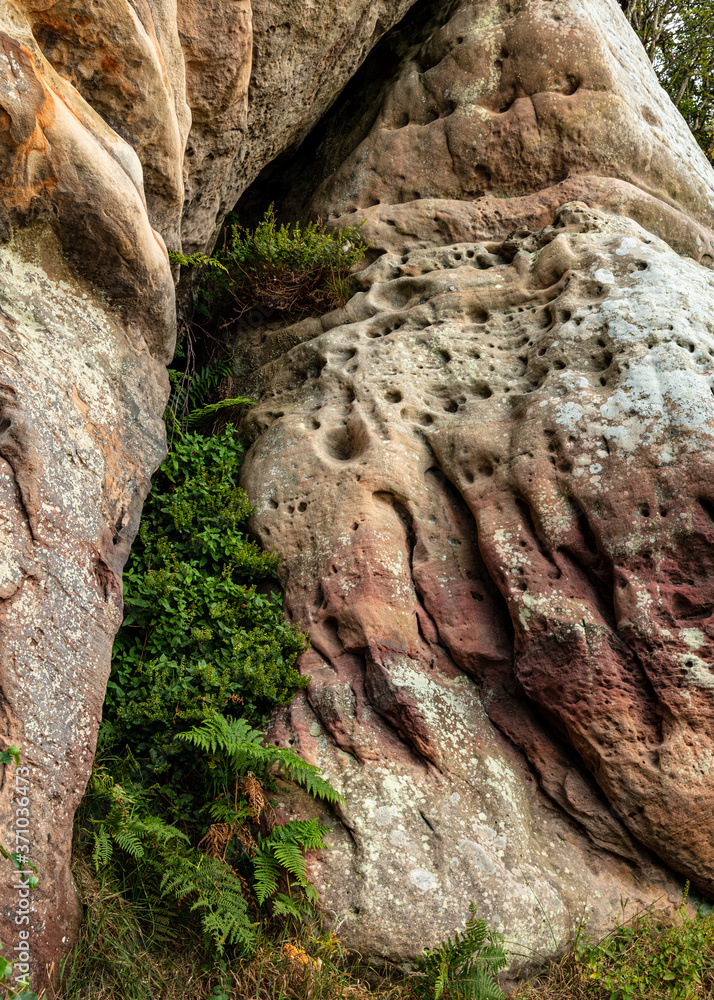 Corby Crags. Northumberland, England UK.