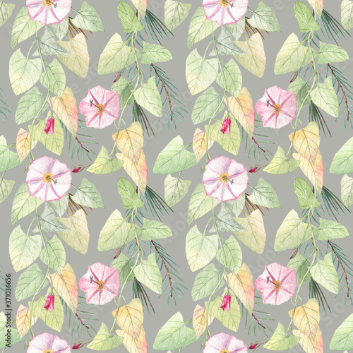 Seamless pattern with bindweed and fir on a neutral grey background. Watercolor botanical illustration. Harmonic design for paper goods and textile. 