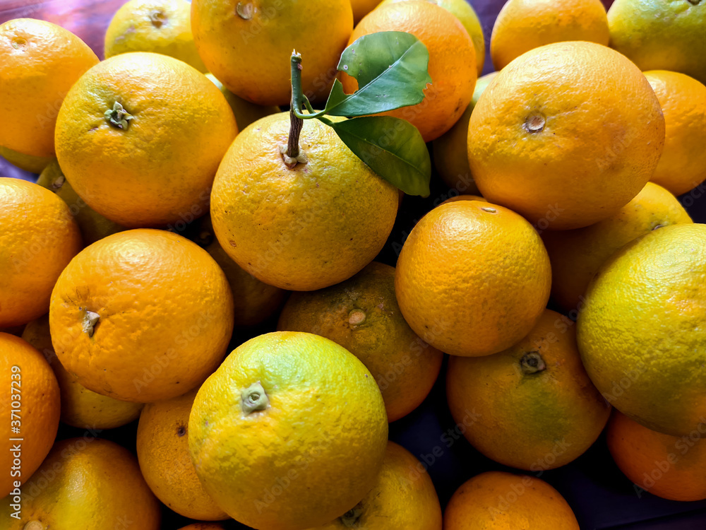 Orange is a delicious fruit rich in vitamin C, very healthy and indispensable in everyday life. Orange is a delicious fruit rich in vitamin C, very healthy and indispensable in everyday life.