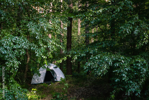 Grey camping tent in the middle of the forest, wild camping, custom summer holidays in outdoor nature