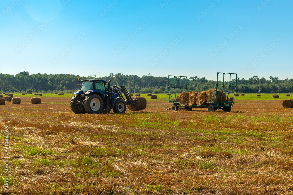 Obraz premium tractor in field