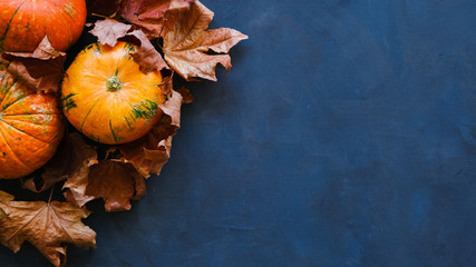 Pumpkins and autumn maple leaves on dark blue background. Thanksgiving day concept. 16x9 banner, copy space.