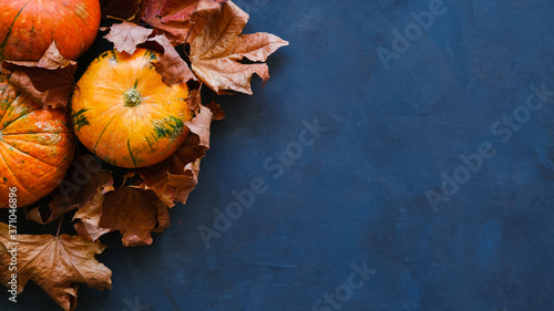 Pumpkins and autumn maple leaves on dark blue background. Thanksgiving day concept. 16x9 banner, copy space.