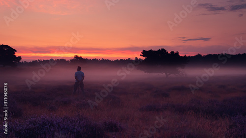 Heideblühen Westruper Heide, Sonnenaufgang, Nebel