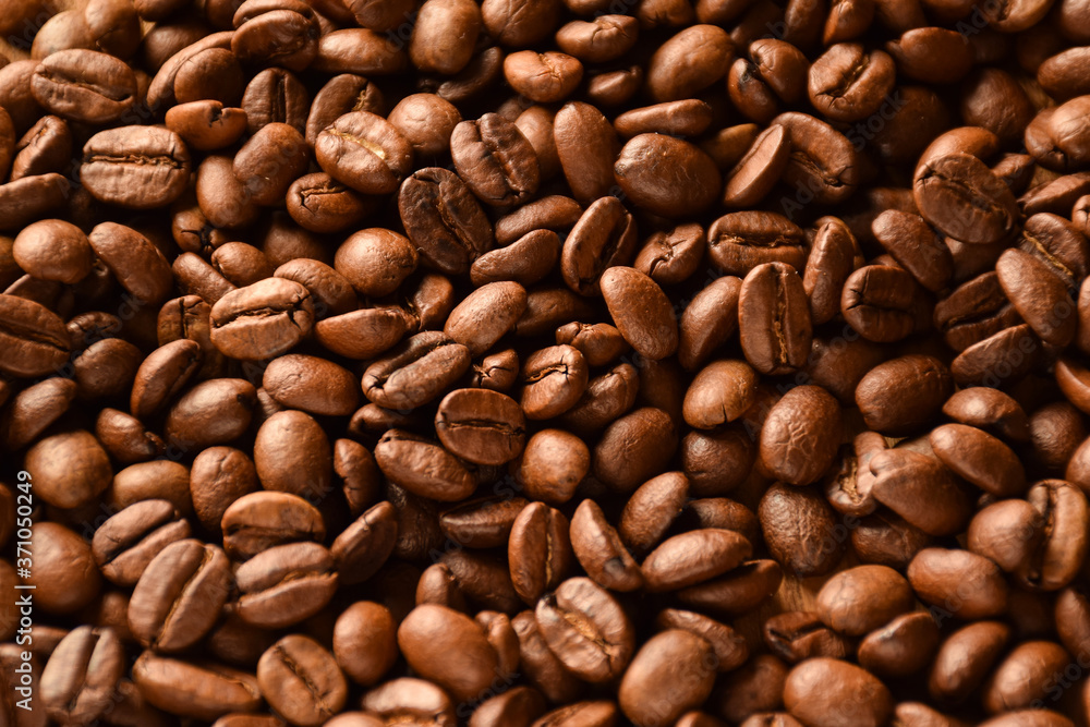 The whole background is covered with large coffee beans The whole background is covered with large coffee beans