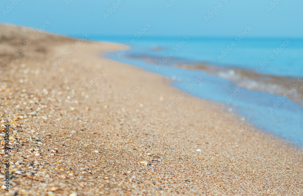 Empty shell beach, selective focus. Empty shell beach, selective focus.