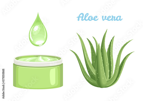 Aloe gel in jar, aloe vera plant and drop of fresh juice isolated on  white background. Vector illustration of medical cosmetic cream in cartoon flat style.