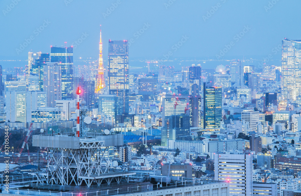 Tokyo Skyline in the Evening