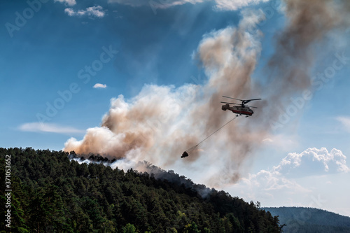 Murais de parede Firefighter helicopter extinguishes forest fire with water