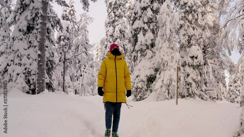 Young caucasian woman tourist in yellow warm jacket and buff walking in snowy coniferous trees forest enjoying winter, female explorer discover Lapland Riisitunturi National Park in cold weather
Young caucasian woman tourist in yellow warm jacket and buff walking in snowy coniferous trees forest enjoying winter, female explorer discover Lapland Riisitunturi National Park in cold weather
