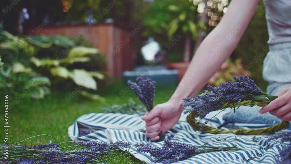 Woman Making Lavender Wreath. SLOW MOTION. Unrecognizable female florist hands creating decoration with purpule lavender flowers. Girl enjoying peaceful evening in Provence French garden. Woman Making Lavender Wreath. SLOW MOTION. Unrecognizable female florist hands creating decoration with purpule lavender flowers. Girl enjoying peaceful evening in Provence French garden.