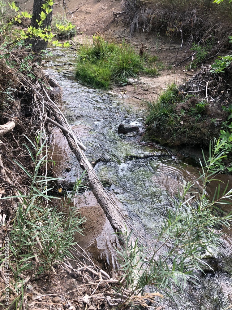 streams are the best streams are the best
