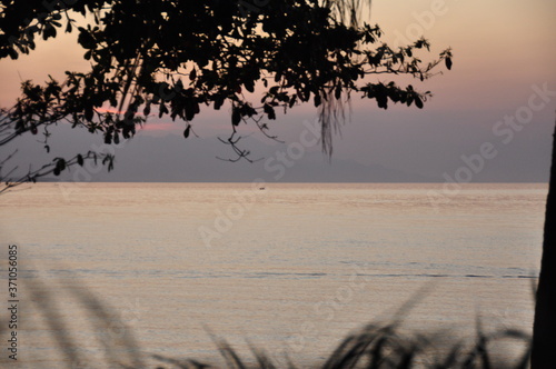 coucher de soleil rose en début de soirée