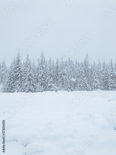 Snowy Winterscape