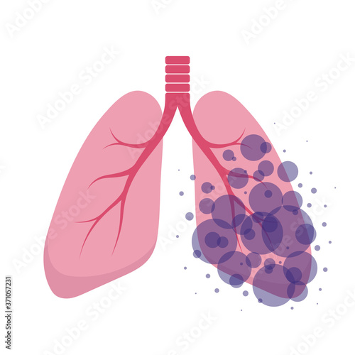 Affected human lungs. Internal organs of the human design element