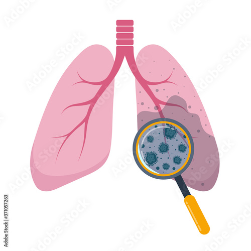 Affected human lungs. Internal organ inspection check for illness