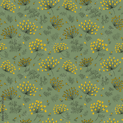 Fennel flowers and seeds pale green