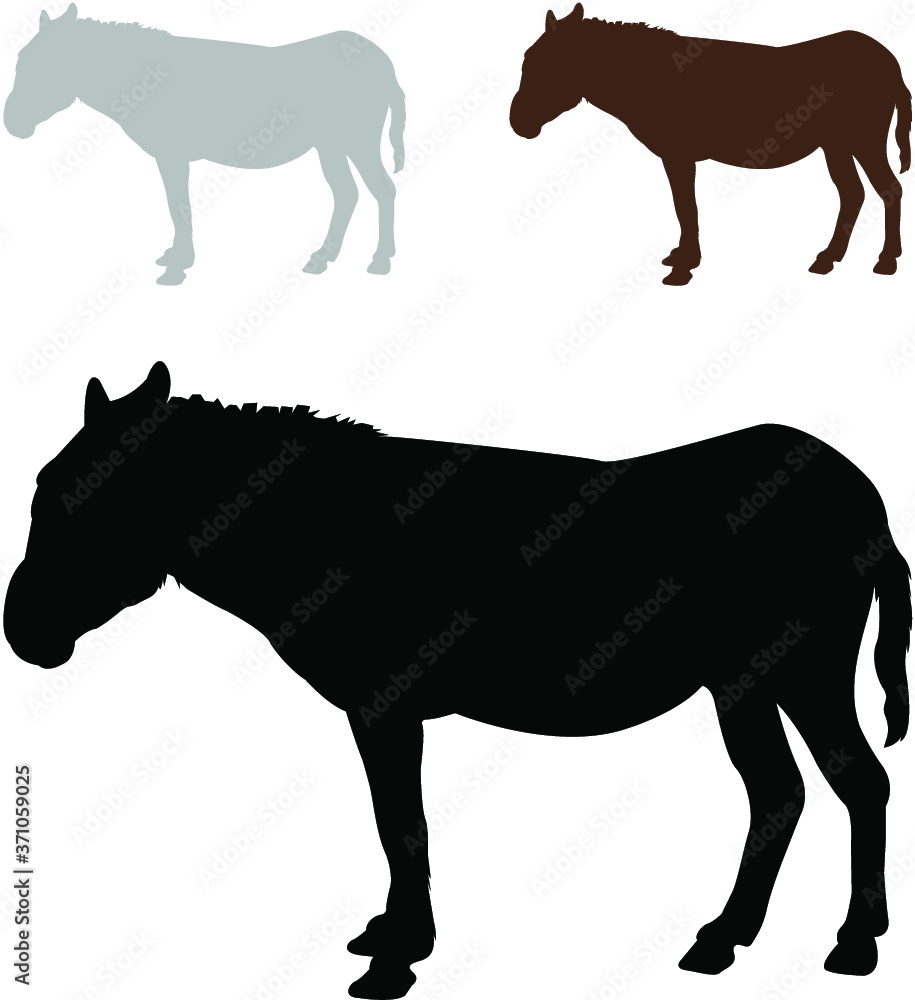 silhouettes of donkey silhouettes of donkey