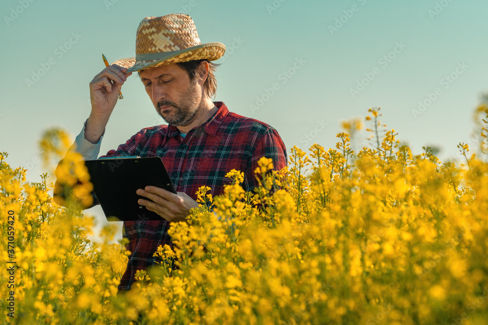 Oilseed rape farmer writing notes on clipboard notepad in blooming field Oilseed rape farmer writing notes on clipboard notepad in blooming field