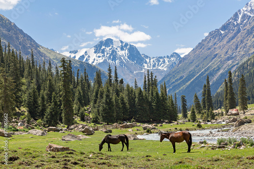 Mountains in the Barskaun Gorge near the Issyk Kul Lake, Kyrgyzstan