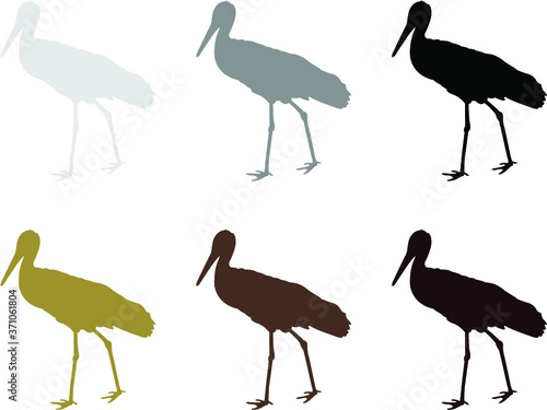vector set of stork